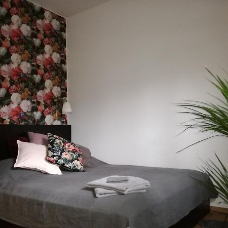 Business&Relax Apartment 14 Poznań Kültér fotó